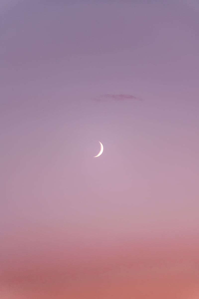 Crescent Moon on a Pink Sky 